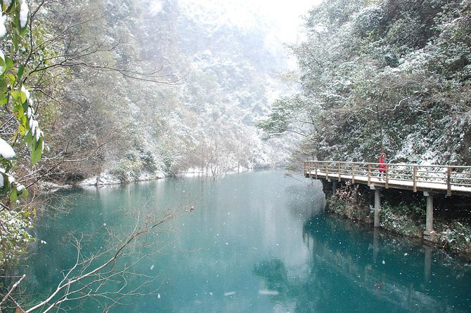 Best Mini Group to Zhangjiajie Forest Park & Avatar Mountains - The Bailong Elevator reaches the cliffs in 88 seconds