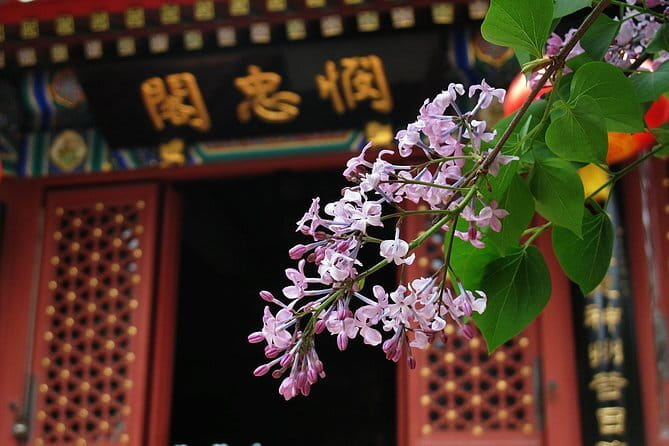 BusDa-Full-Day Bus Trips: Mutianyu, Summer & Old Summer Palaces - Why the early start is worth it
