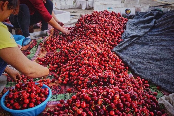 Changsha Walking Food Tour with Private Guide - Picking the right start time in Changsha