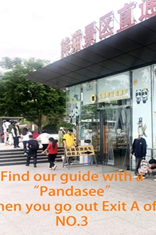 Chengdu panda base half day tour - Key points at a glance