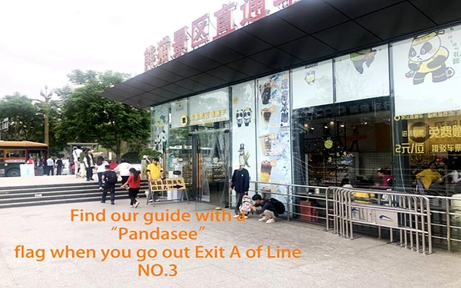 Chengdu panda base half day tour - Who should choose this half-day tour?