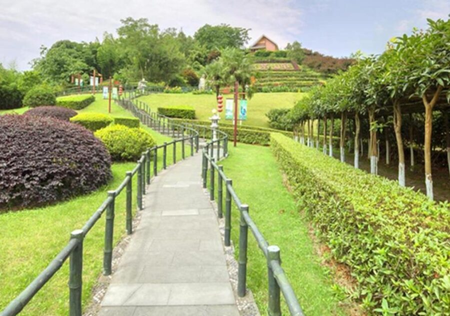 Chengdu panda & Leshan Buddha One Day Private Tour - Why this day works for a short Chengdu visit