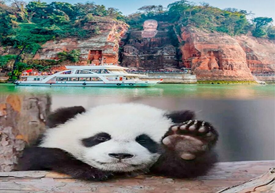 Chengdu panda & Leshan Buddha One Day Private Tour - Should you book it?