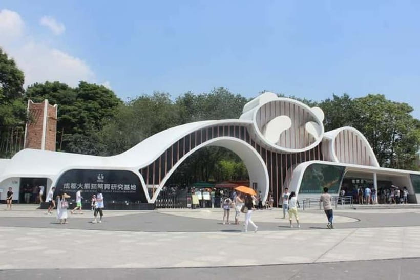 Chengdu: Panda Research Base Ticket or Volunteer Day Trip - Key points for choosing your panda day