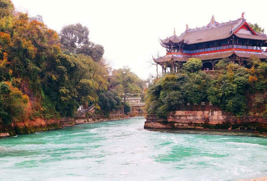 Chengdu: Panda Research Base Ticket or Volunteer Day Trip - Is the $9 price good value?