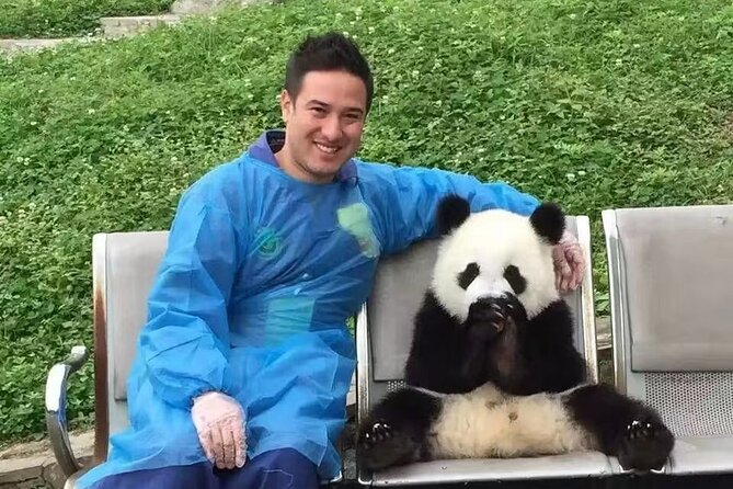 Chengdu Panda Research Base Tickets And Optional Private Tour - Why Chengdu’s Panda Base matters