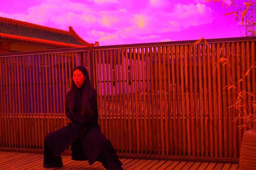 Chinese Kungfu class in old temple beside Forbidden Ci - Optional tea ceremony and the wider cultural experience