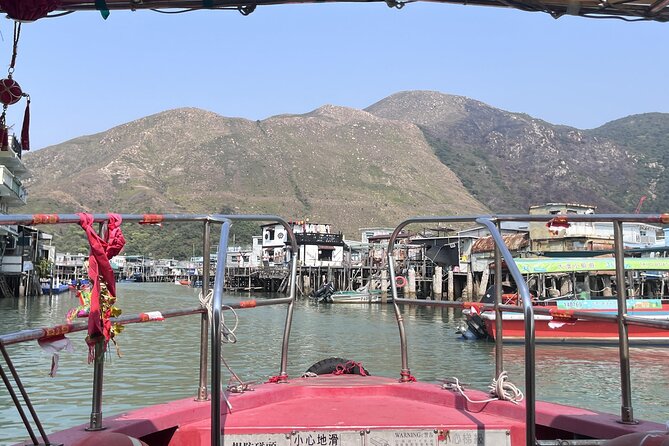 Coach Day Tour - Lantau Island Visiting and Giant Buddha Cable Car Tour Plus Tai O Boat Ride - Who should book this Lantau tour?