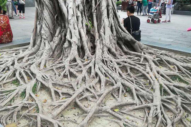 Customised Private Guangzhou City Tour with Flexible Itinerary - Lychee Bay and old Xiguan homes