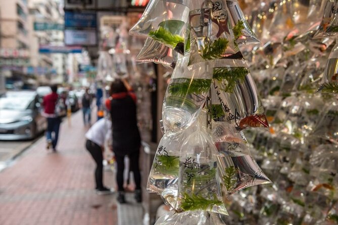 Dark Side of Hong Kong - Kowloon Caged Homes Walking Tour - Inside the staged 100-square-foot flat
