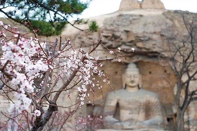 Datong Classic Day Tour - Understanding the scale of Yungang Grottoes