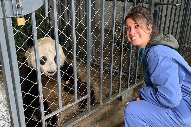 Dujiangyan Panda Volunteering Experience with Lunch - Cleaning, bamboo, and the unglamorous work