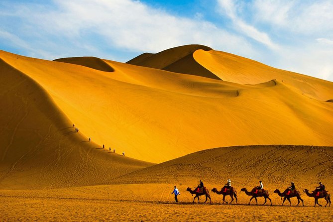 Dunhuang Private Day Tour Mogao Grottoes, Singing Dunes and Crescent Moon Spring - The private vehicle and 8:00 a.m. start