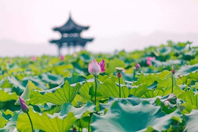 Flexible Hangzhou Private Tour from Shanghai by Bullet Train - West Lake by foot and boat