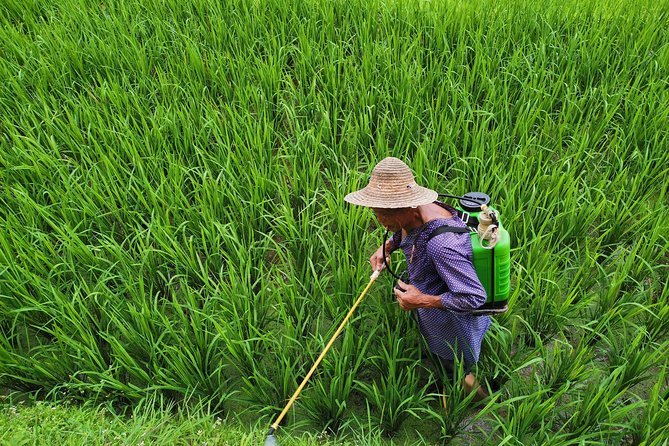 From Guilin/Yangshuo: Longji Rice Terraces and Ethnic Minority Village Day Tour - Reaching Longji by 7-seat minivan