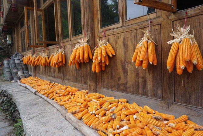 From Guilin/Yangshuo: Longji Rice Terraces and Ethnic Minority Village Day Tour - Lunch at a local farmer’s house