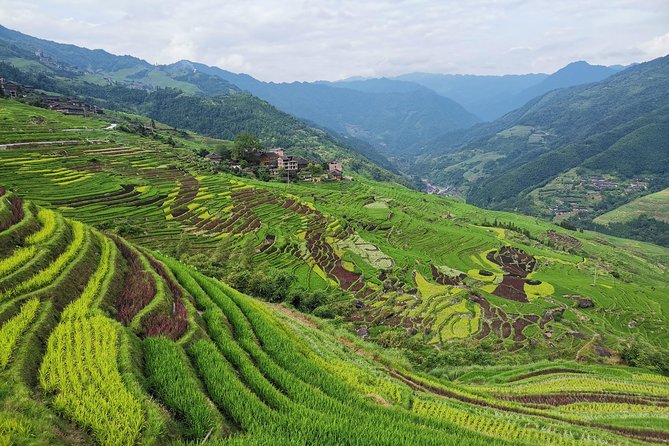 From Guilin/Yangshuo: Longji Rice Terraces and Ethnic Minority Village Day Tour - Is $168 a fair price for the day?