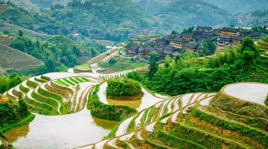 Guilin: 3-Day Private Tour with Longsheng&Cruise to Yangshuo - Transport, group size, and comfort