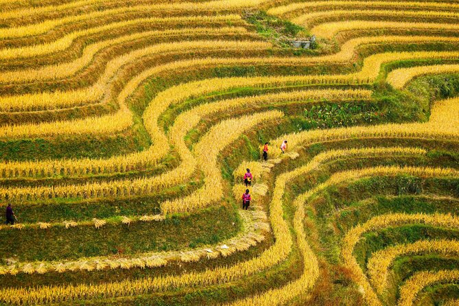 Guilin: Longji Rice Terraces and Villages Private Day Tour - One hour in a Zhuang minority village