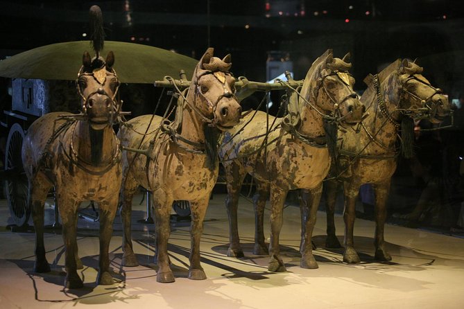 Half-Day Mini Group Xian Tour to Terracotta Warriors Museum - Why this six-hour plan works in Xi’an
