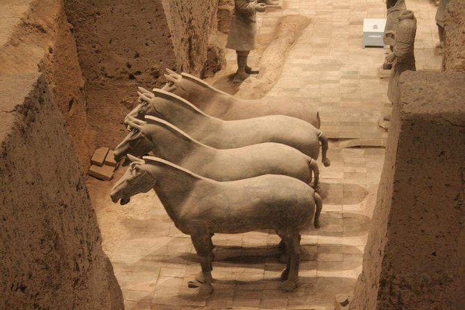 Half-Day Mini Group Xian Tour to Terracotta Warriors Museum - Who should book this tour