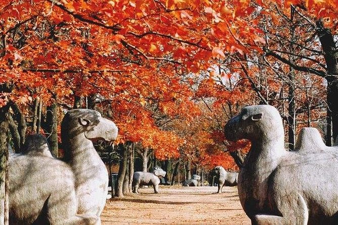 Half-Day Private Customized Nanjing City Tour - Sun Yat-sen Mausoleum on Purple Mountain