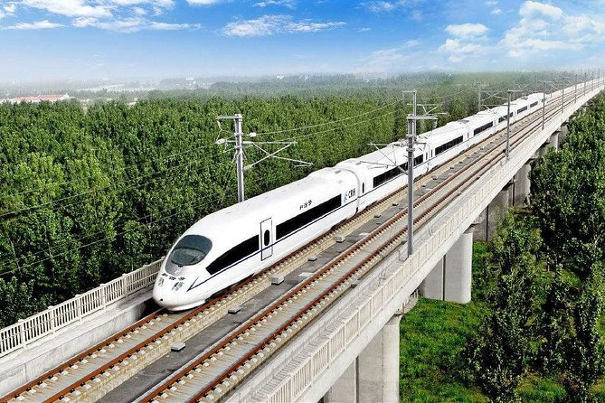 Hangzhou Private Customized Day Trip from Shanghai by Bullet Train - From Shanghai hotel to the bullet train