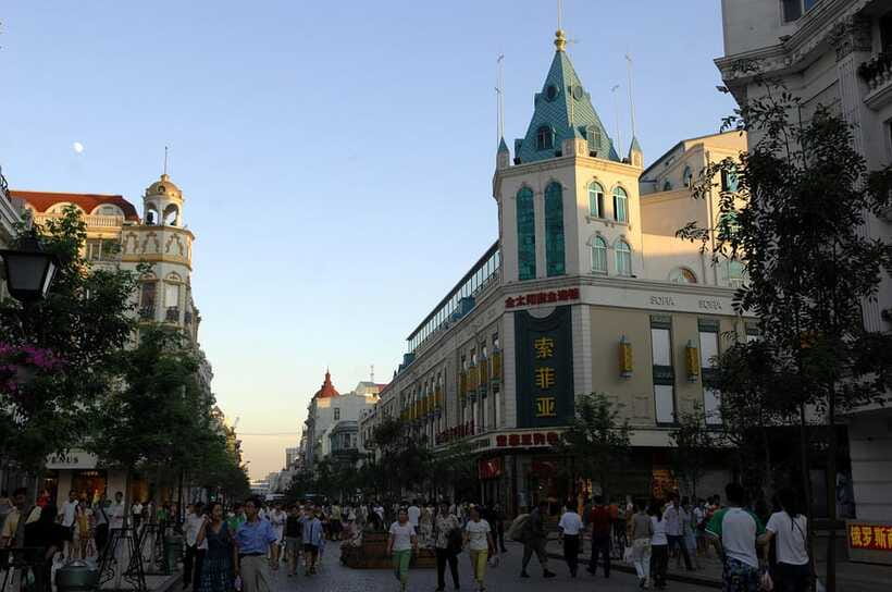 Harbin Ice and Snow Fairyland Private Day Tour - What the private car and guide add