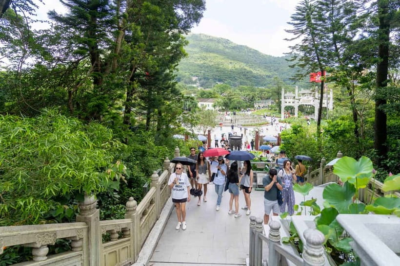 Hong Kong: Lantau VIP Priority Cable Car, Big Buddha & Tai O - Why Lantau makes a strong day away from downtown
