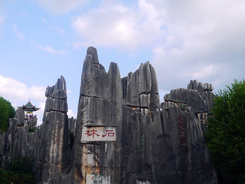 Kunming: Stone Forest Private Day Tour - Key points to know before booking
