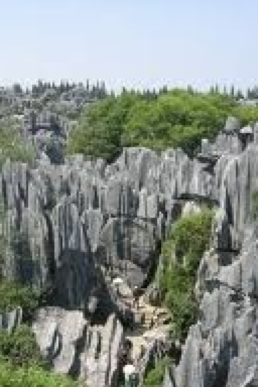 Kunming: Stone Forest Private Day Tour - Why Kunming’s Stone Forest is worth the long ride