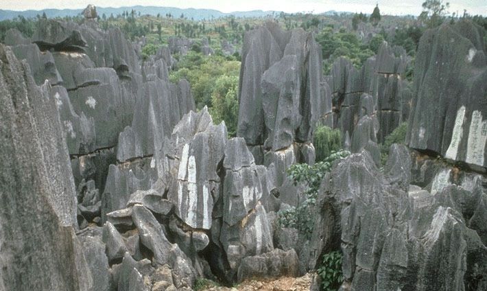Kunming: Stone Forest Private Day Tour - Walking through the Greater and Lesser Stone Forest