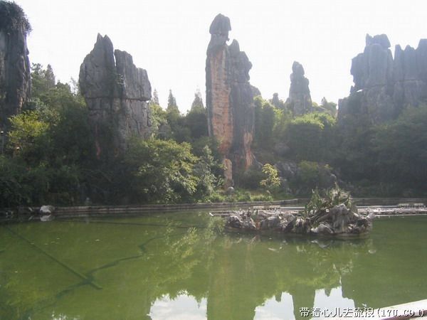 Kunming: Stone Forest Private Day Tour - Lunch, costs, and what the $143 price really covers