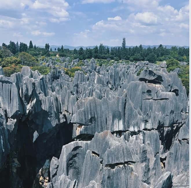 Kunming: Stone Forest, Roast Duck Lunch and City Tour - Why the Stone Forest deserves a full morning