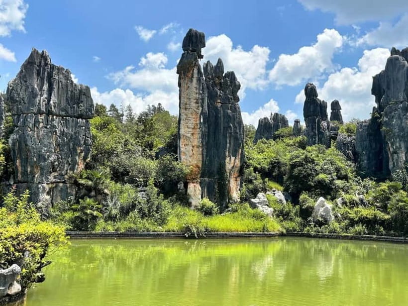 Kunming: Stone Forest, Roast Duck Lunch and City Tour - Picking the right tour option