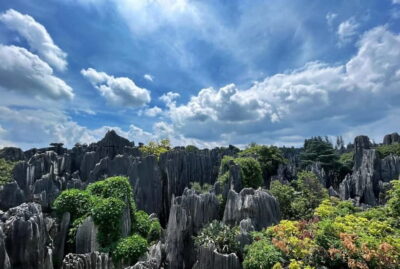 Kunming: Stone Forest, Roast Duck Lunch and City Tour