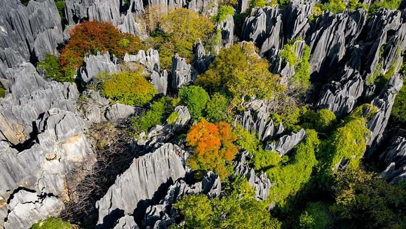 Kunming: Stone Forest, Roast Duck Lunch and City Tour - Choosing your Kunming afternoon