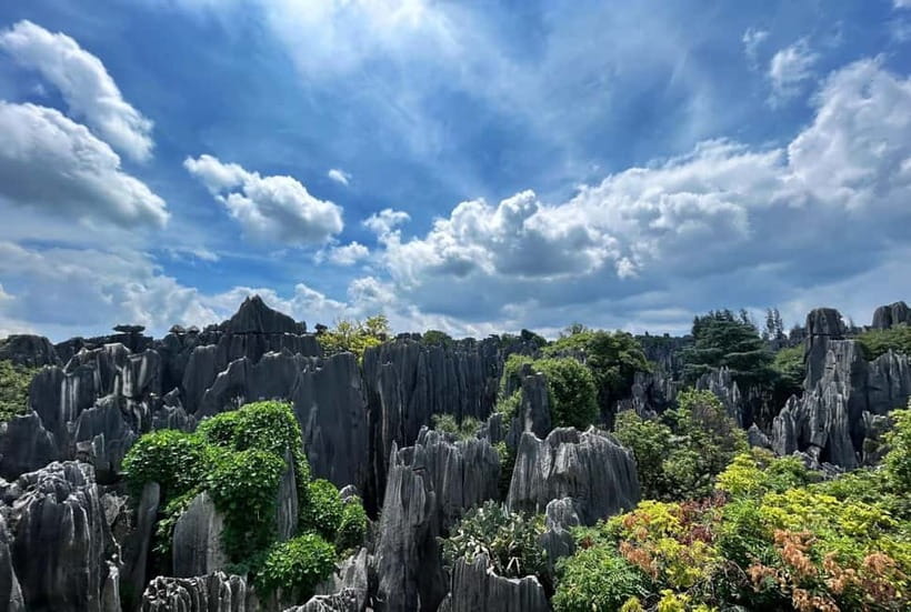 Kunming: Stone Forest, Roast Duck Lunch and City Tour - The Sani story behind the rocks