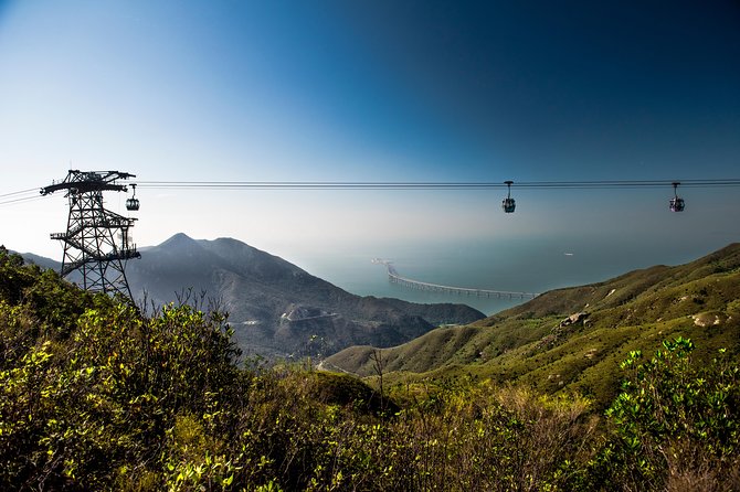 Lantau HK Guided Tour - Cable Car, Tai O, Big Buddha, Monastery - Common snags and how to avoid them