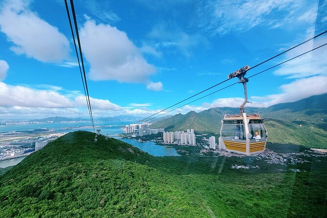 Lantau Island Day Trip: Giant Buddha & Cable Car with Pickup - Who will enjoy this Lantau day trip most