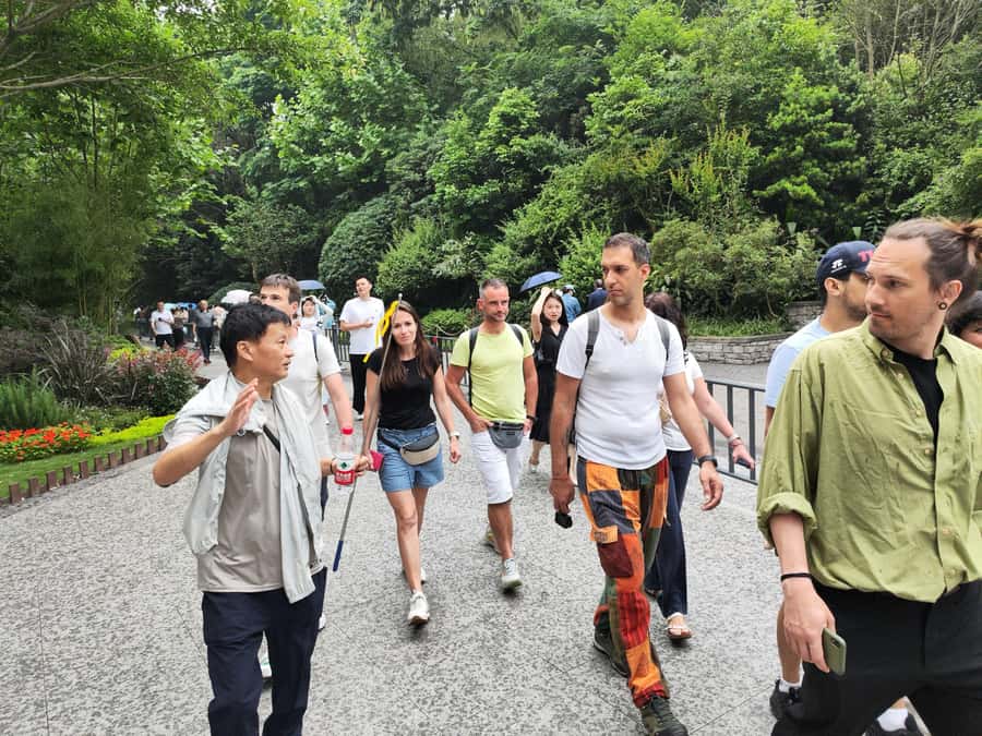 Leshan Grand Buddha Scenic Area and Panda Park Day Tour - Morning with pandas at the breeding base