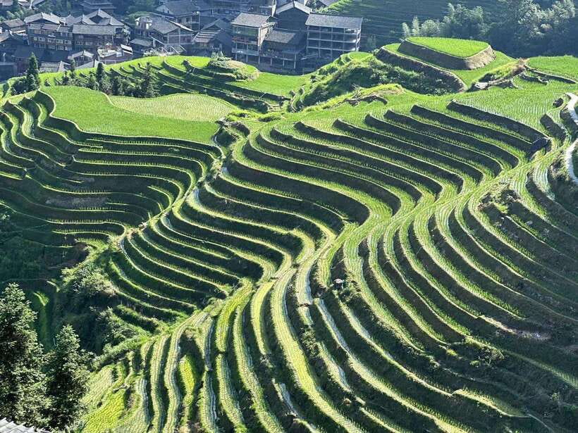 Longji Rice Terraces: Full-Day Private Tour from Guilin - Key points to know before booking
