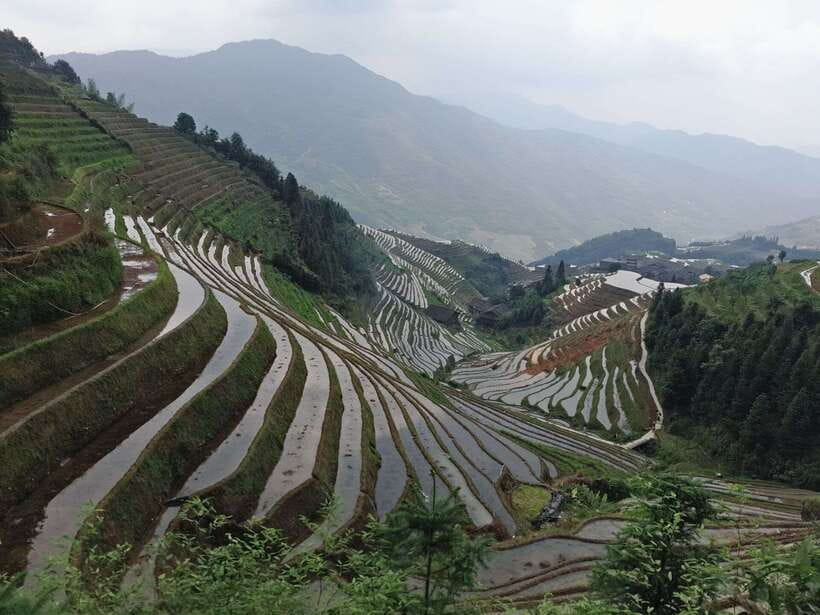 Longji Rice Terraces: Full-Day Private Tour from Guilin - Ping’an village and its wooden homes
