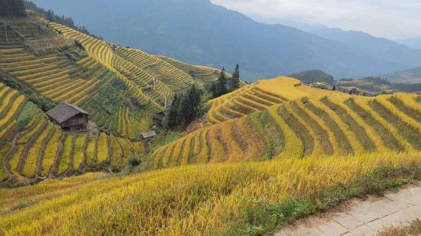 Longji Rice Terraces: Full-Day Private Tour from Guilin - Choosing a guide or self-guided option
