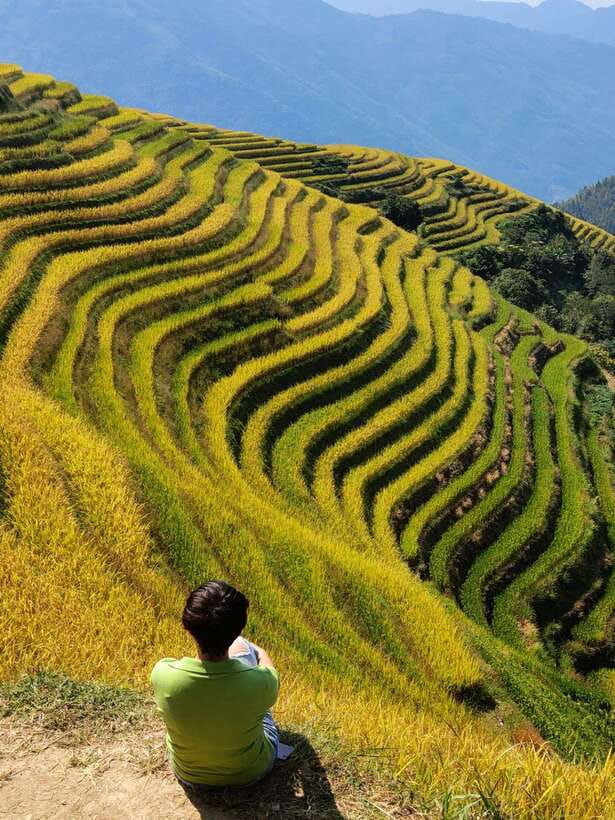 Longji Rice Terraces: Full-Day Private Tour from Guilin - Who will enjoy this Longji tour most