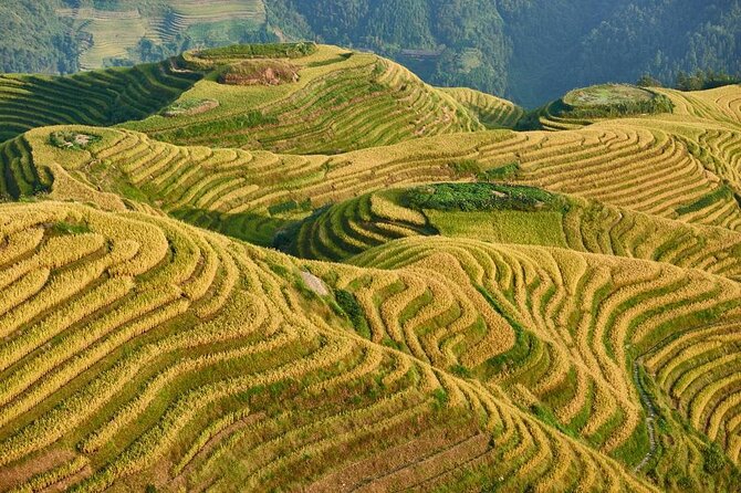 Longji rice terraces & minority villages private day tour - Key points at a glance