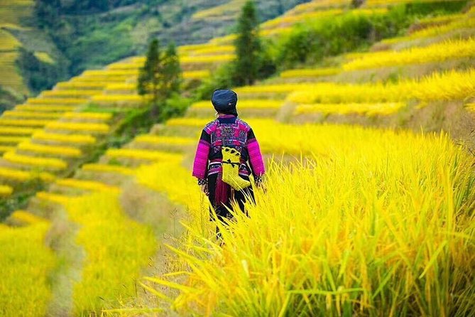 Longji rice terraces & minority villages private day tour - What is included, and what is not