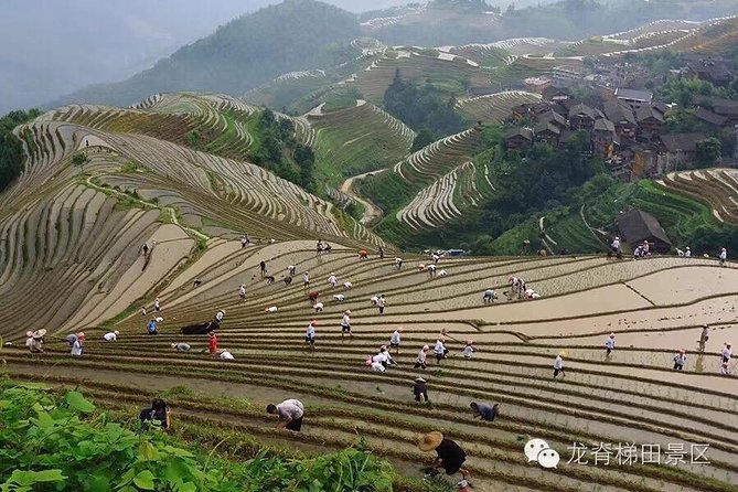 Longji rice terraces & minority villages private day tour - Is $193 good value for up to four people?