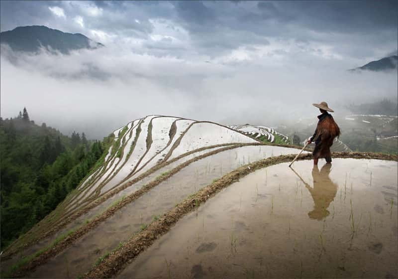 Longsheng Ethnic Minority & Rice Terraces Full-Day Tour - Key points to know before you book
