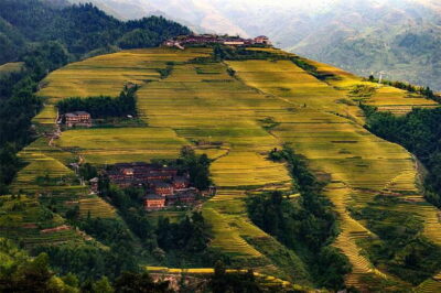 Longsheng Ethnic Minority & Rice Terraces Full-Day Tour